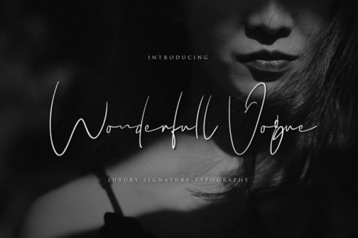 Wonderfull Vogue Font Download