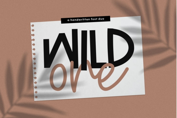 Wild One - Handwritten Print/Script Font Duo Font Download