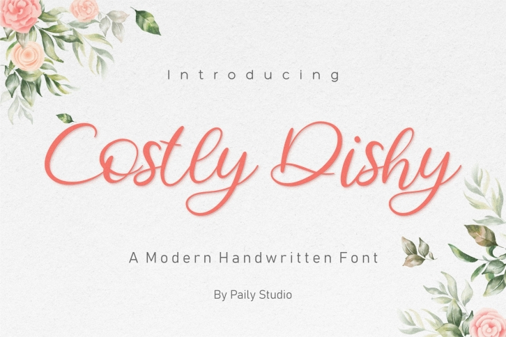 Costly Dishy Modern Handwritten Font Download