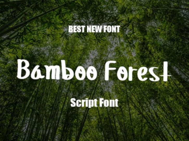 Bamboo Forest Font Download