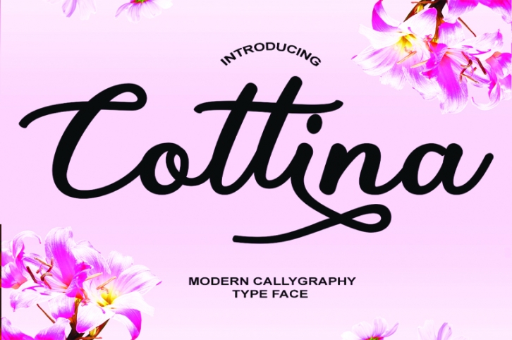 Cottina Script Font Download