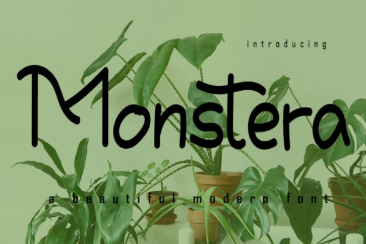 Monstera Font Download