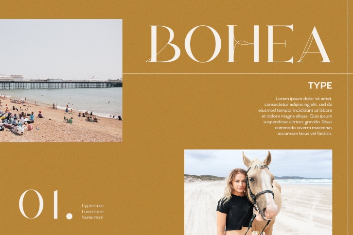 Bohea Type Font Download