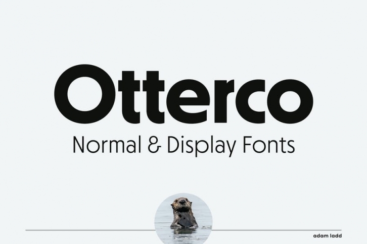 Otterco Font Family Font Download