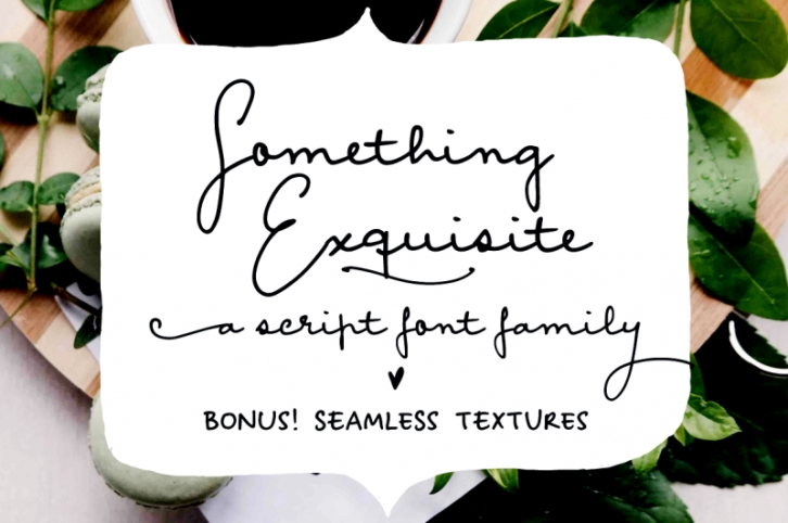 Something Exquisite | a script font Font Download