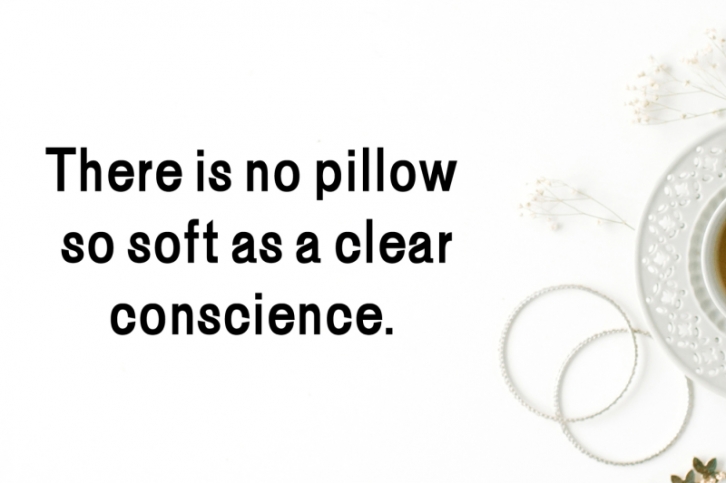 Fonzy Minimal Sans Serif 5 Font Pack Font Download