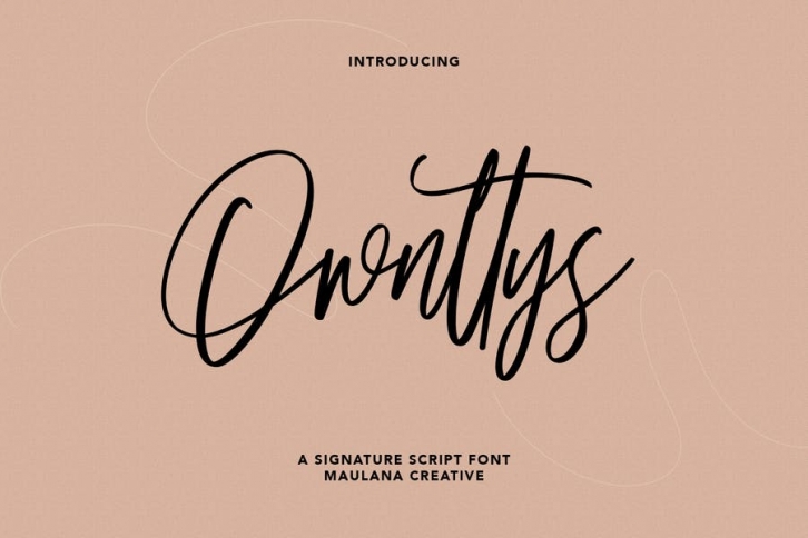 Ownttys Signature Script Font Font Download