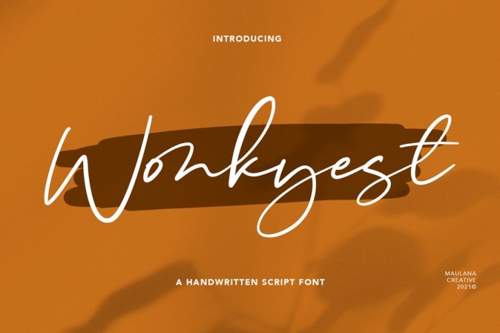 Wonkyest Handwritten Script Font Font Download