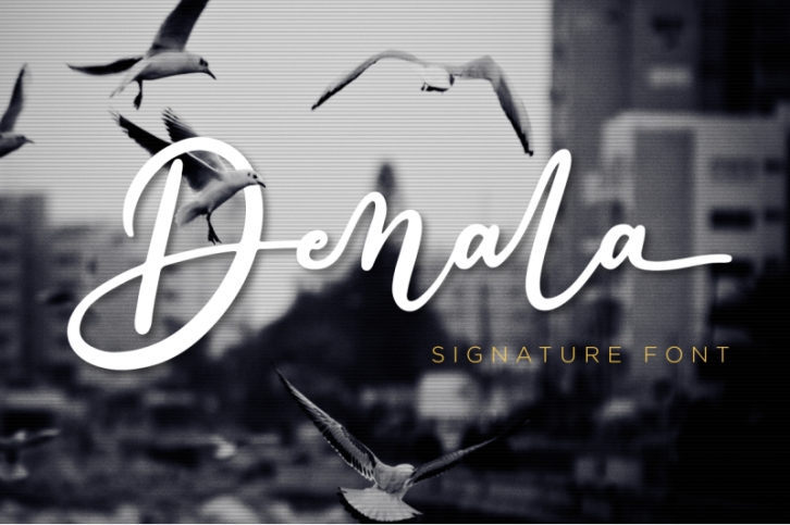 Denala - Signature Font Font Download