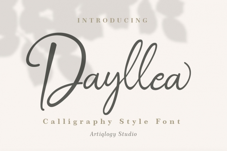 Dayllea Calligraphy Style Font Download