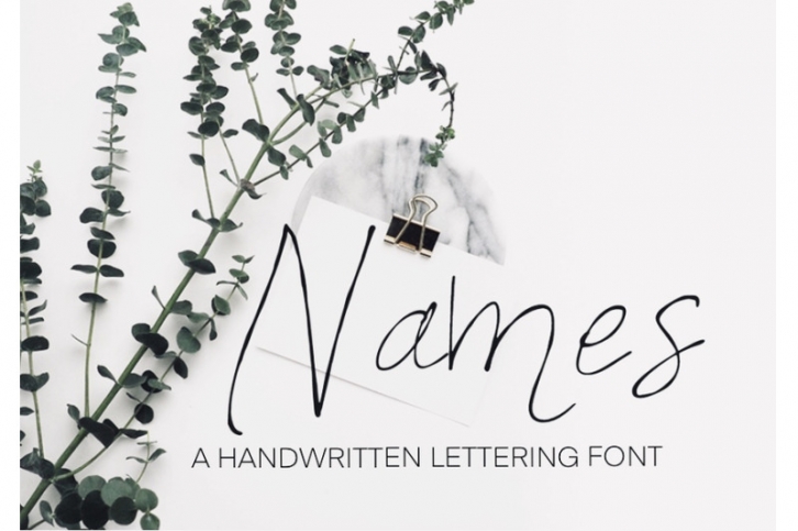 Names Font Font Download