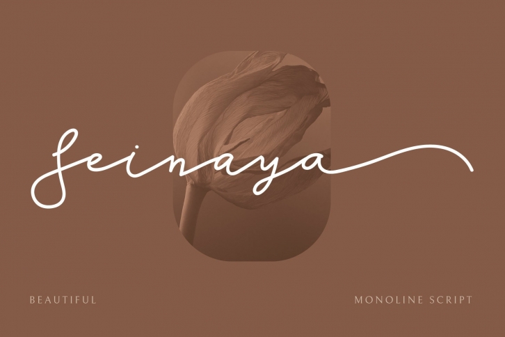 SEINAYA Font Download