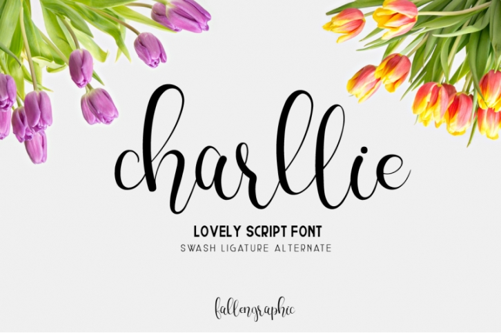 Charllie Lovely Script Font Font Download