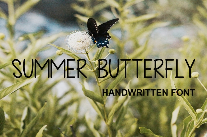 Summer Butterfly Font Download