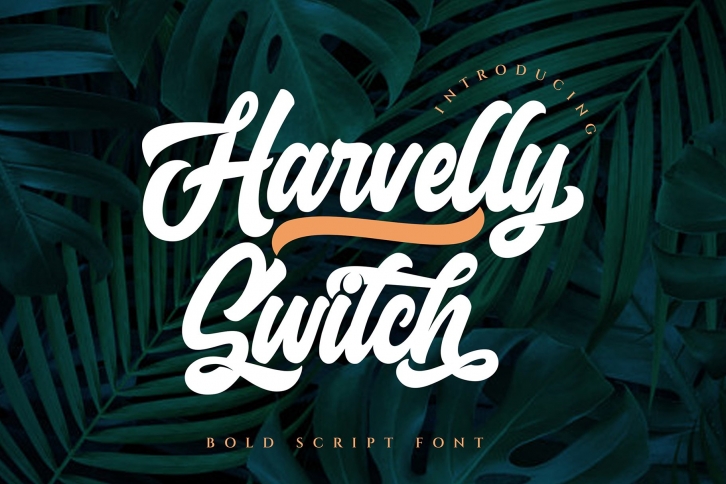 Haverlly Switch Font Download
