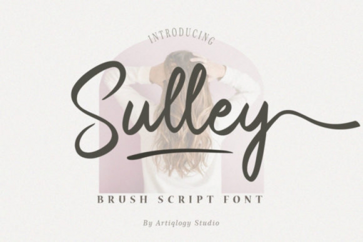 Sulley Font Download