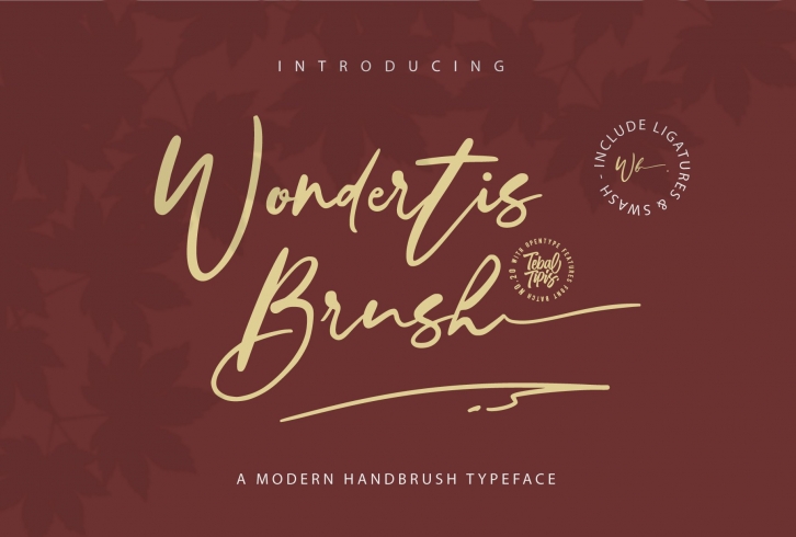 SALE ! Wondertis Brush Font Download