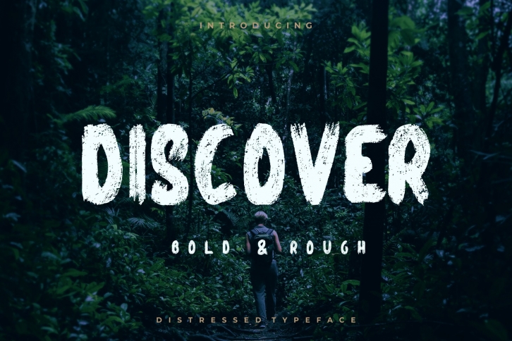 Discover Font Download