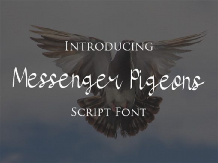 Messenger Pigeons Font Download