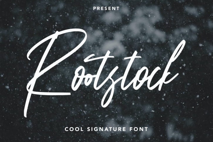 Rootstock - Cool Signature Font Font Download
