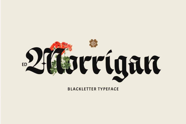 ED Morrigan Typeface Font Download