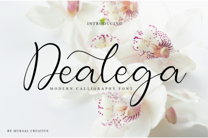 Dealega Font Download