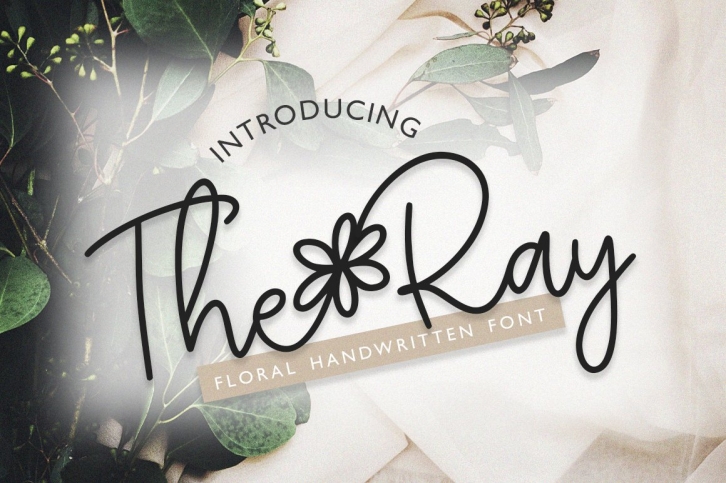The Ray Font Download
