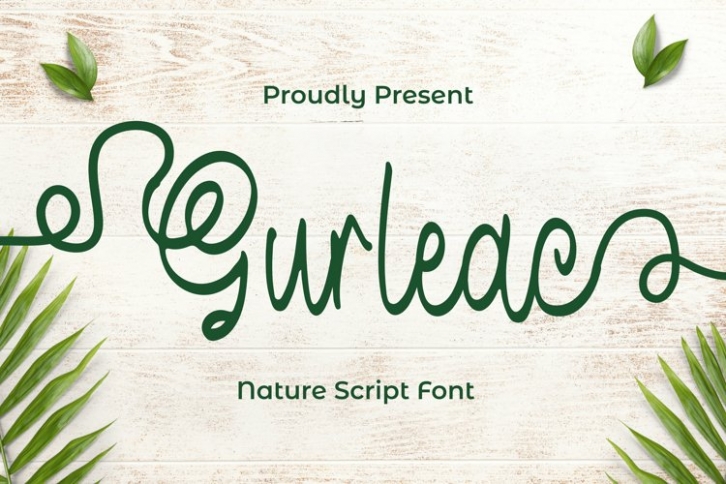 Sulley Brush Script Font Download