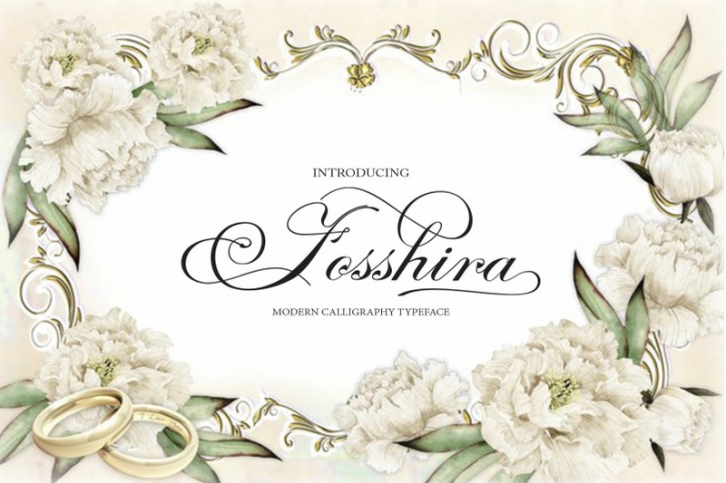 Fosshira Script Font Download