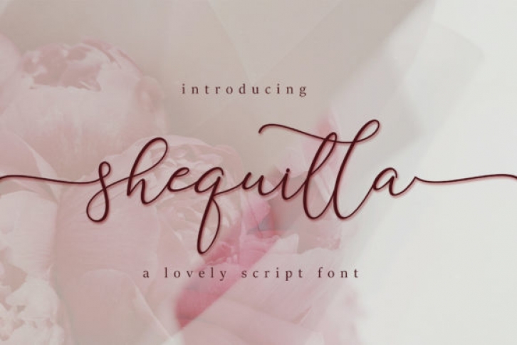 Shequilla Font Download