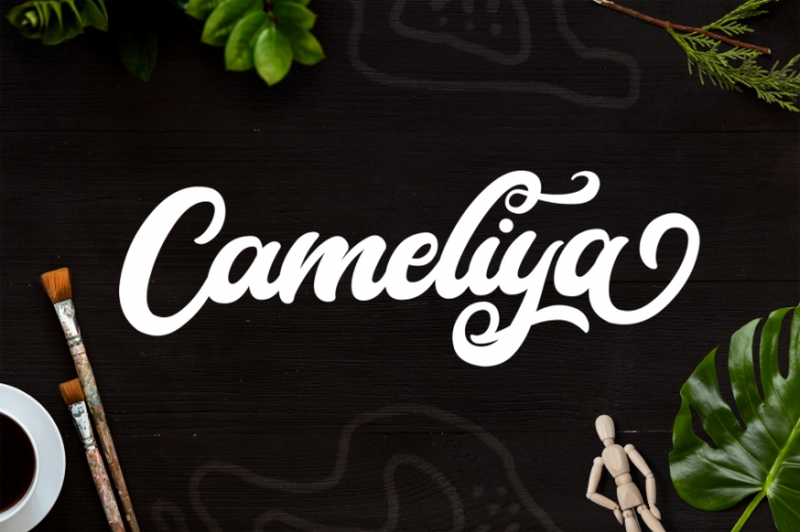 Cameliya - Bold Script Font Font Download