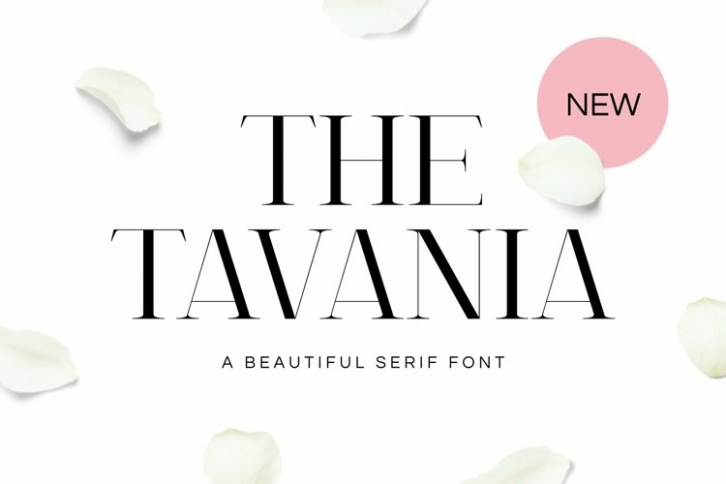 Web Tavania Font Download