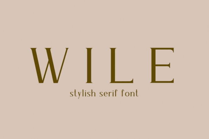 Wile - Serif Font Font Download