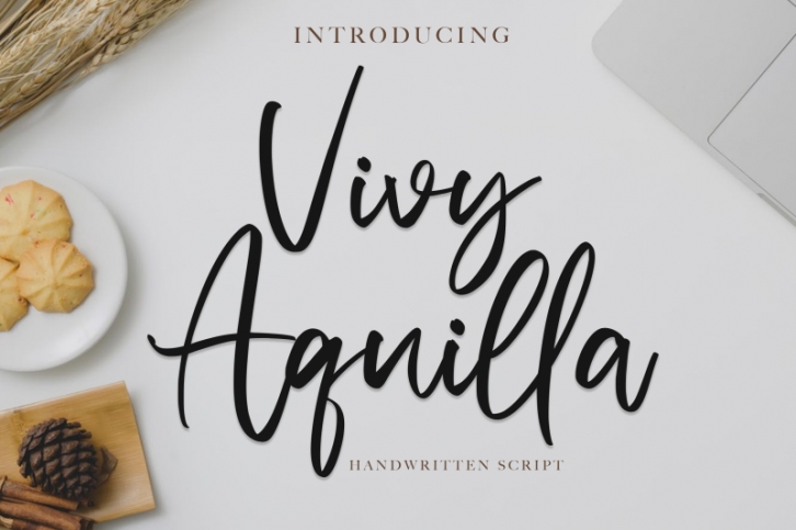 Vivy Aquilla - Handwritten Font Font Download