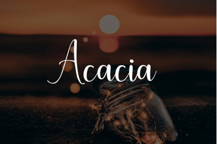 Acacia Font Download