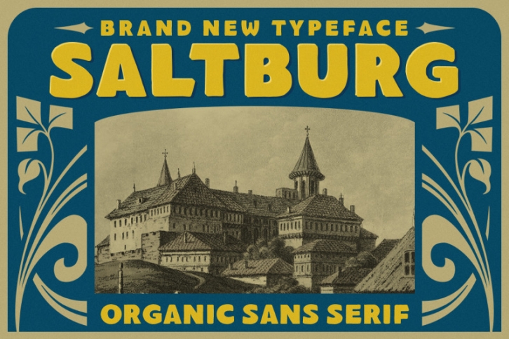 Saltburg - Organic Sans Serif Font Download