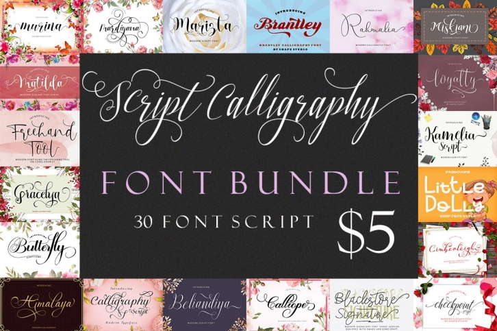 Script Calligraphy Bundle Font Download