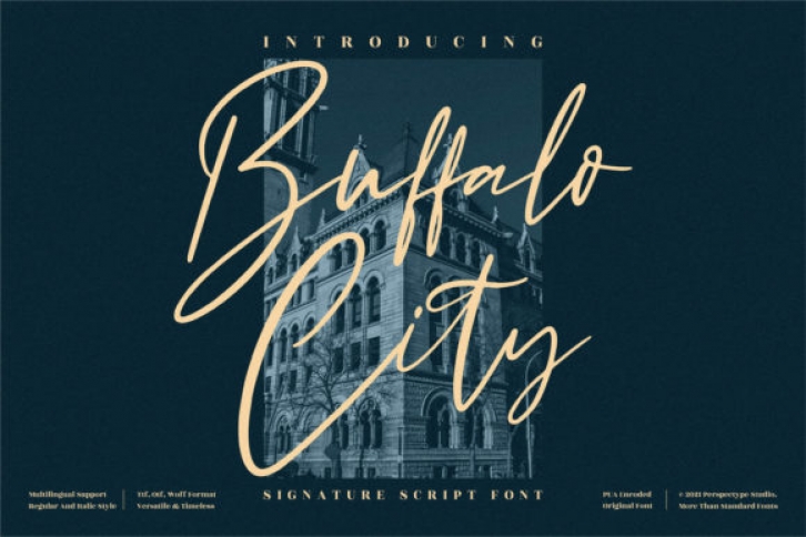 Buffalo City Font Download