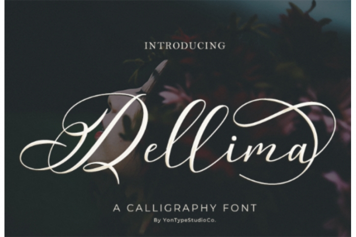 Dellima | Wedding Calligraphy Font Font Download