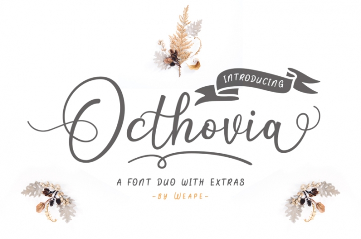 Octhovia Font Duo and Extras Font Download