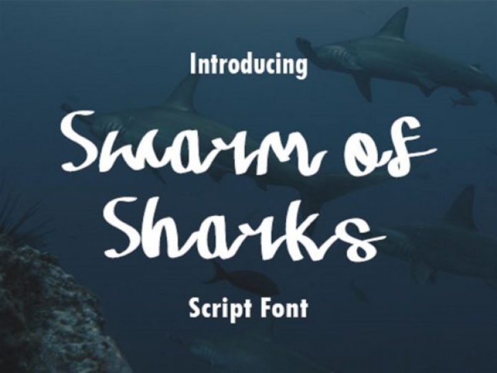 Swarm of Sharks Font Download