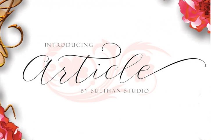 Article Font Download