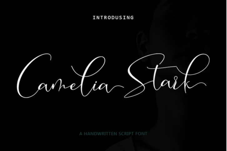 Camelia Stark Script Font Download