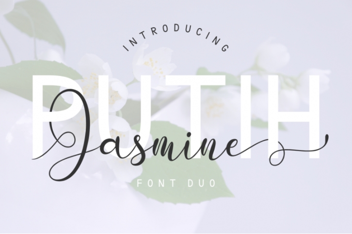 PUTIH Jasmine Font Duo Font Download