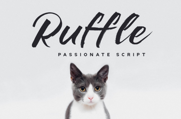 Ruffle - Casual Brush Font Font Download