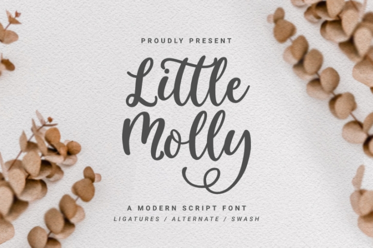 Little Molly | Modern Script Font Download