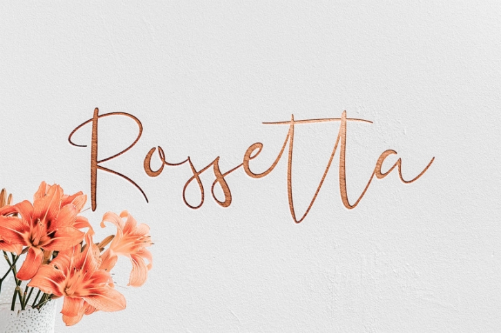 Rossetta Script Font Font Download