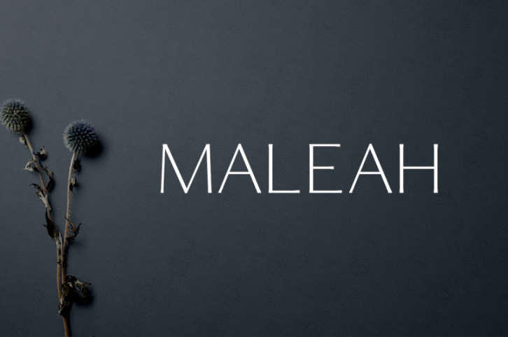 Maleah Sans Serif 4 Font Family Pack Font Download