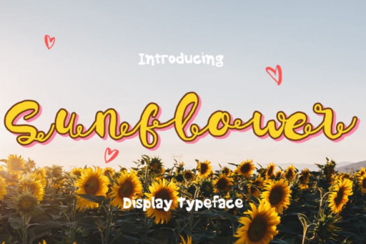 Sunflower Font Download