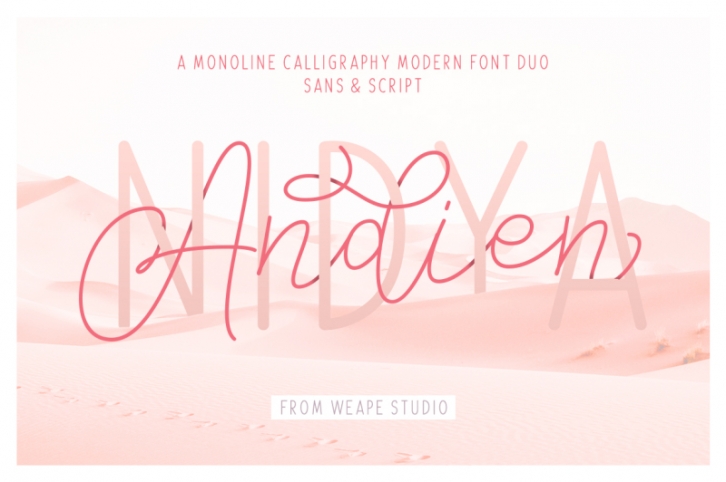 Andien Nidya - Script & Sans Font Download